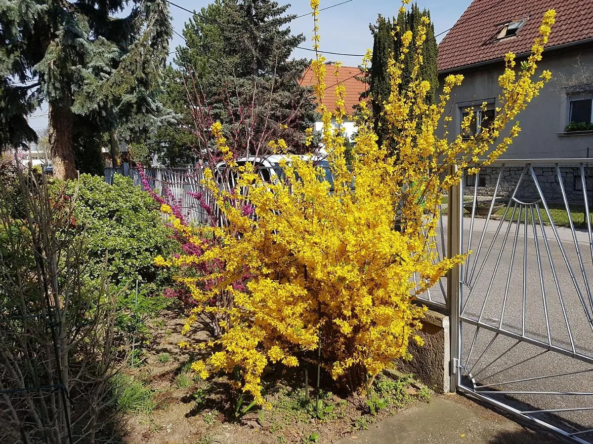 Garden Apartment Donau-City Βιέννη